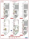 armand-carrel-5_page_1